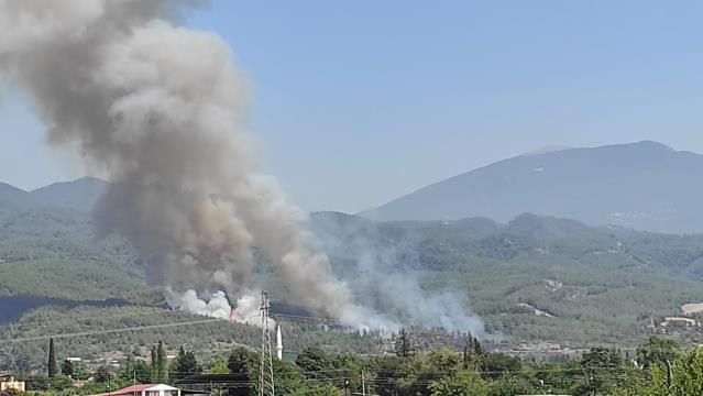 Hatay'ın Dörtyol ilçesinde orman yangını 